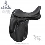 Paramour Dressage
